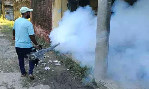 Phagwara MC ने बारिश के बाद बीमारी फैलने से रोकने के लिए फॉगिंग