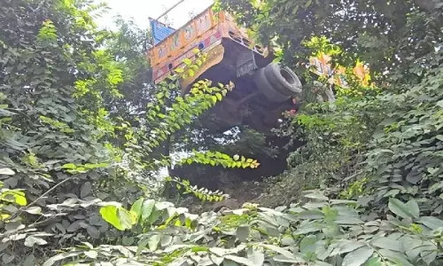 केशकाल घाट में पेड़ से लटका ट्रक, बड़ी दुर्घटना टली केशकाल घाट में पेड़ से लटका ट्रक, बड़ी दुर्घटना टली