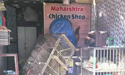 Thane में मांसाहारी वस्तुओं की बिक्री में उछाल Thane में मांसाहारी वस्तुओं की बिक्री में उछाल