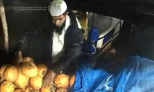 आधी रात को नारियल के खोल चोरी.. चोरी का फुटेज वायरल आधी रात को नारियल के खोल चोरी.. चोरी का फुटेज वायरल
