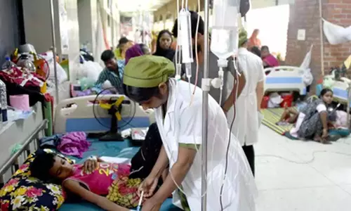 डेंगू से मौतों का आंकड़ा बढ़कर 135 हुआ, 34,411 मामलों के साथ अस्पतालों में 1,571 लोग इलाजाधीन