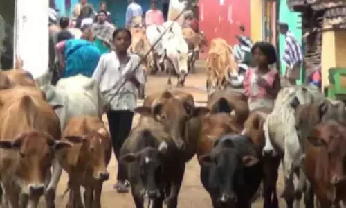 गरीबी, पलायन और बाल विवाह के कारण ओडिशा के हजारों बच्चे स्कूल से बाहर
