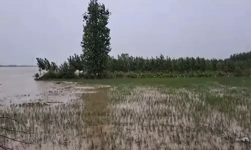 Punjab में भीषण बाढ़ के बीच लुधियाना जिले में स्थिति नियंत्रण में: अधिकारी