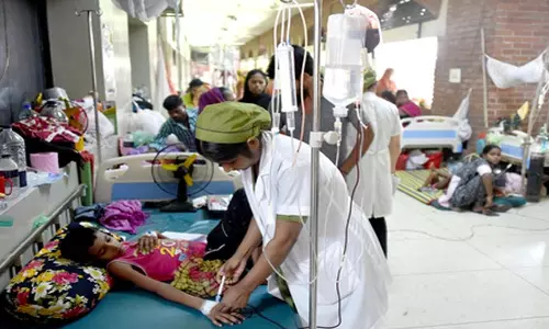 डेंगू से तीन और लोगों की मौत, मरने वालों की संख्या बढ़कर 135 हुई डेंगू से तीन और लोगों की मौत, मरने वालों की संख्या बढ़कर 135 हुई