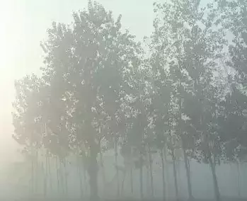 22 जिलों में भारी बारिश होगी, अलर्ट जारी 22 जिलों में भारी बारिश होगी, अलर्ट जारी