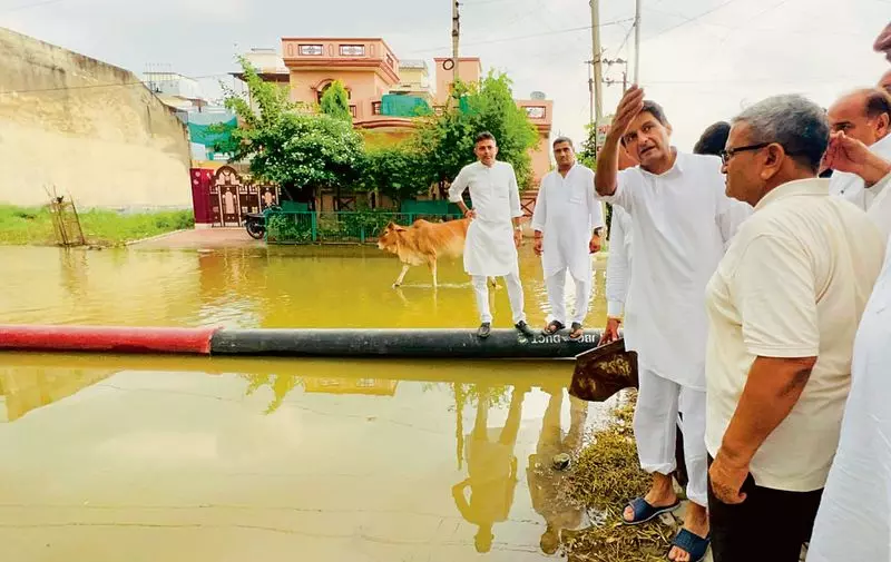 Haryana : दीपेंद्र हुड्डा ने हिसार क्षेत्र का दौरा किया, सरकार पर उपाय न करने का आरोप लगाया Haryana : दीपेंद्र हुड्डा ने हिसार क्षेत्र का दौरा किया, सरकार पर उपाय न करने का आरोप लगाया