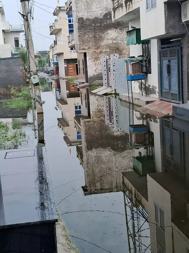 Hisar के इलाकों में कई दिनों से जलभराव, स्थानीय लोगों को खराब जल निकासी का मलाल Hisar के इलाकों में कई दिनों से जलभराव, स्थानीय लोगों को खराब जल निकासी का मलाल