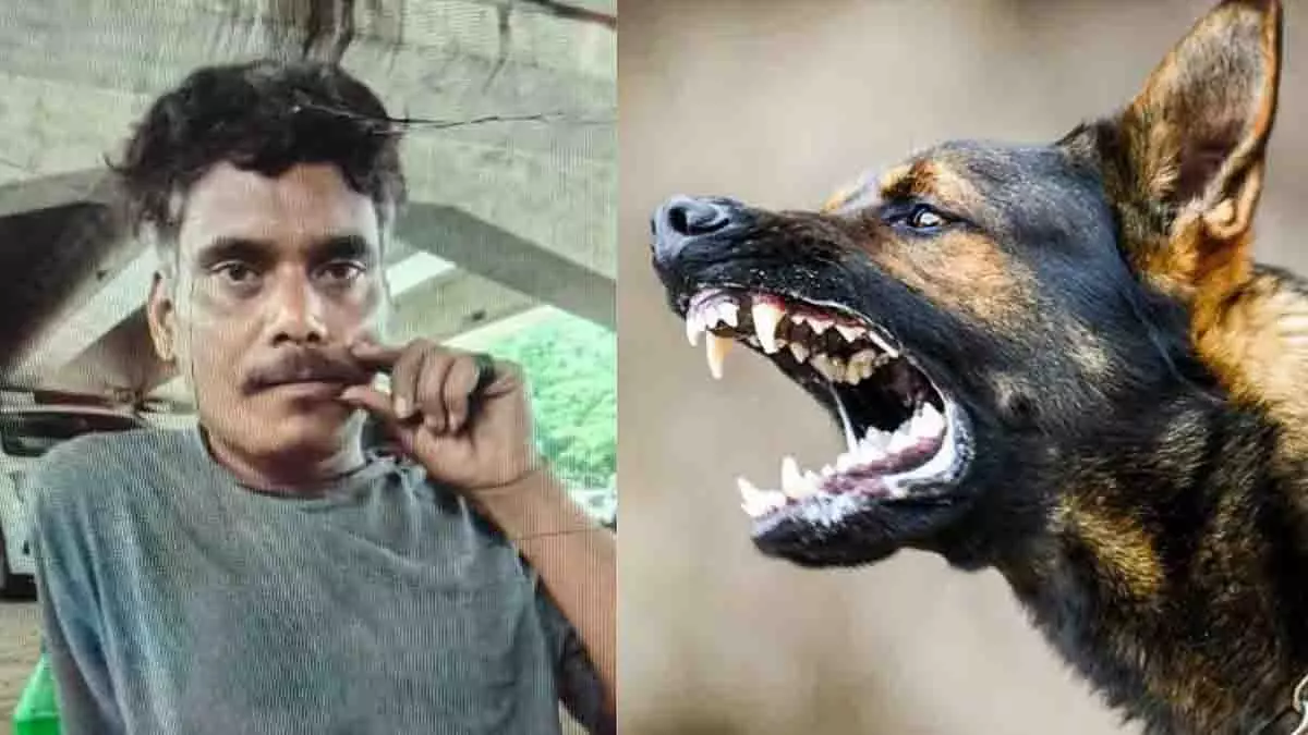 Indore: कुत्ते के काटने के तीन महीने बाद संदिग्ध रेबीज से व्यक्ति की मौत Indore: कुत्ते के काटने के तीन महीने बाद संदिग्ध रेबीज से व्यक्ति की मौत