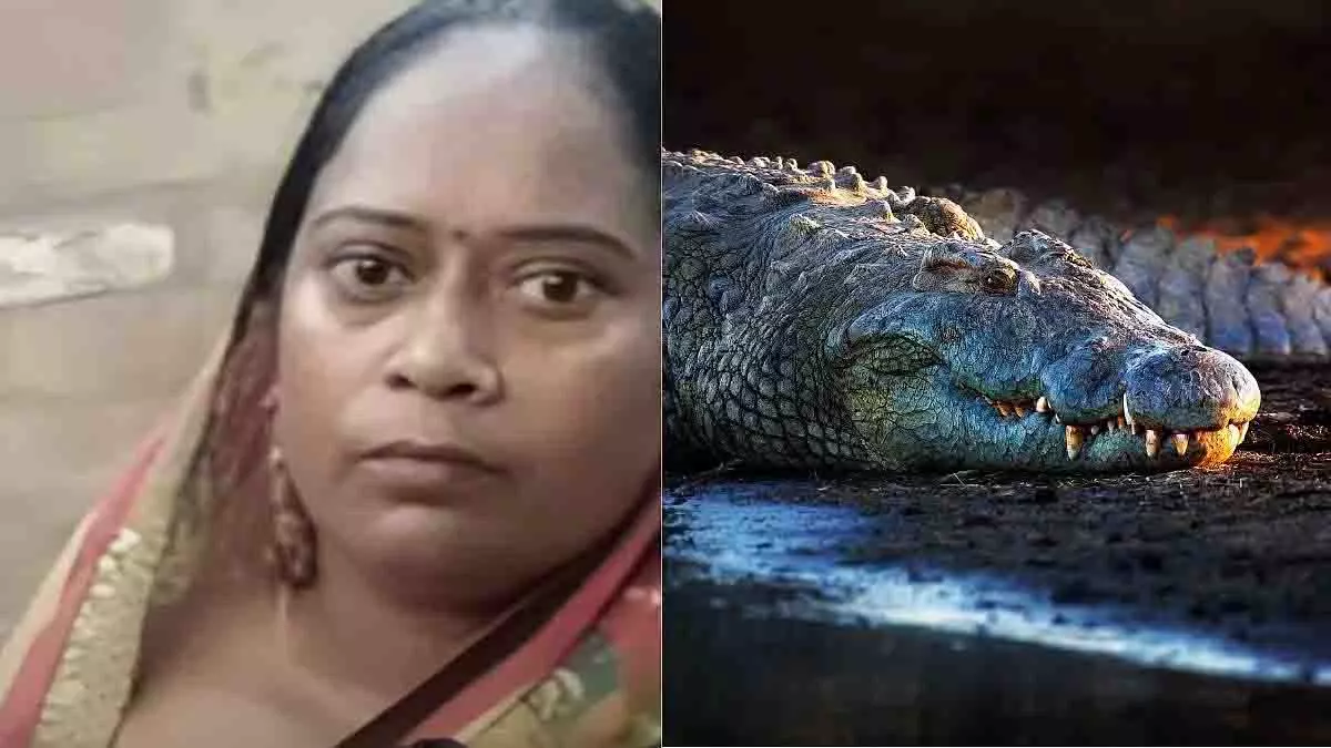 Kanpur: पति से झगड़े के बाद गंगा में कूदी महिला, मगरमच्छ से हुआ सामना Kanpur: पति से झगड़े के बाद गंगा में कूदी महिला, मगरमच्छ से हुआ सामना
