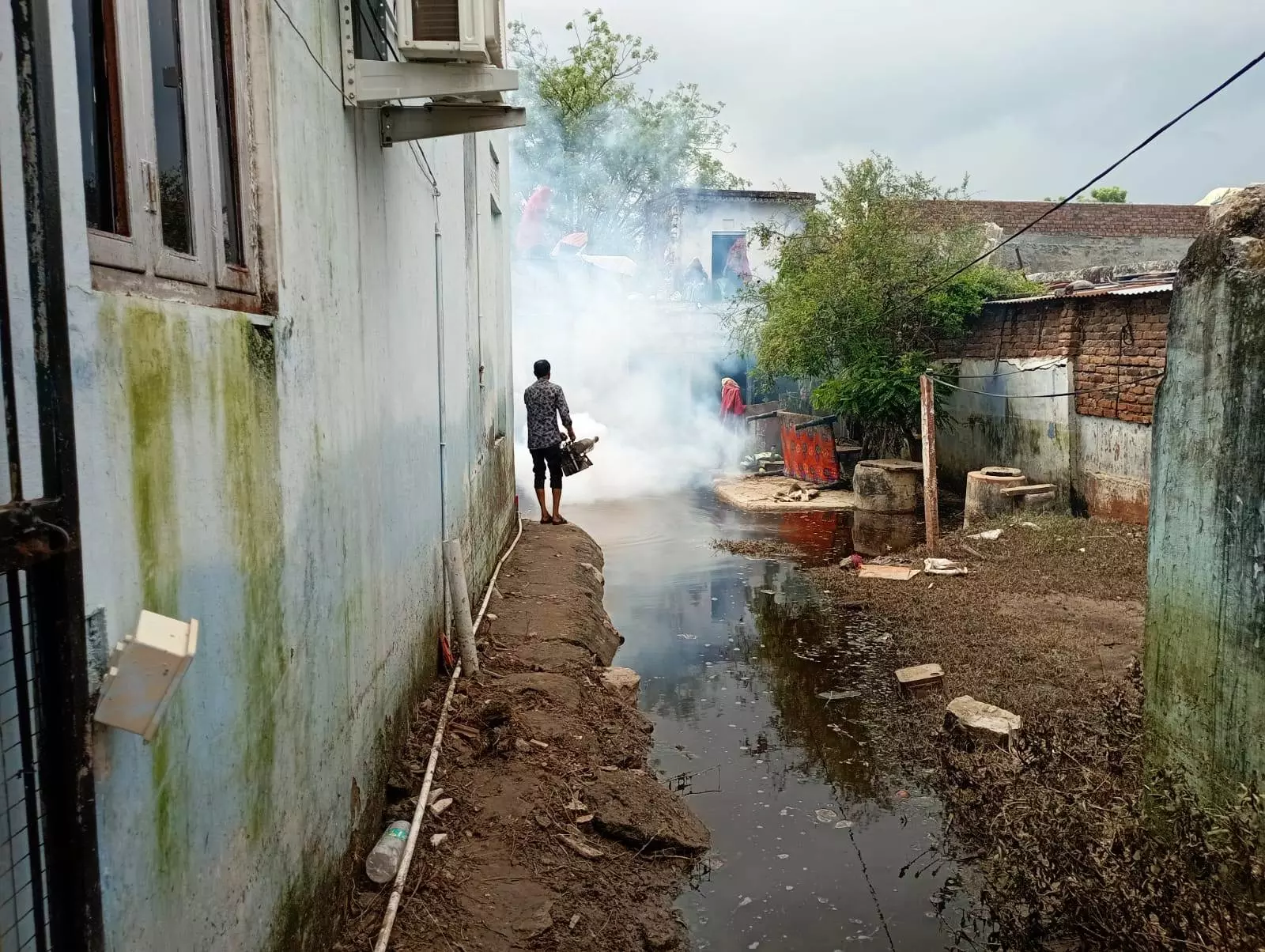 Madhopur: मच्छरों पर काबू पाने के लिए चिकित्सा विभाग कर रहा एंटी लार्वा गतिविधियां Madhopur: मच्छरों पर काबू पाने के लिए चिकित्सा विभाग कर रहा एंटी लार्वा गतिविधियां