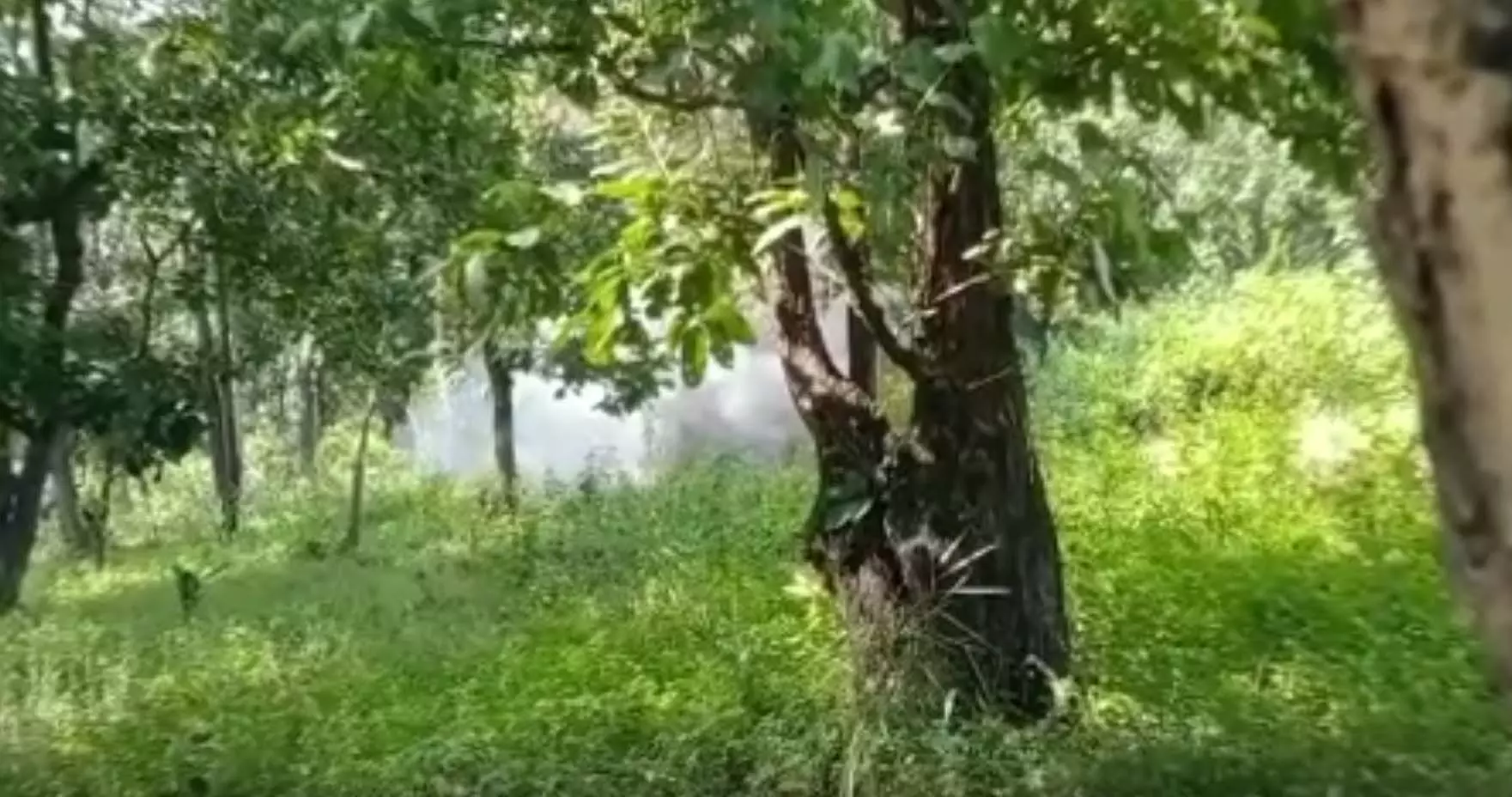 नक्सलियों की बड़ी साजिश नाकाम, 10 किलो का IED बम सुरक्षाबलों ने किया नष्ट नक्सलियों की बड़ी साजिश नाकाम, 10 किलो का IED बम सुरक्षाबलों ने किया नष्ट