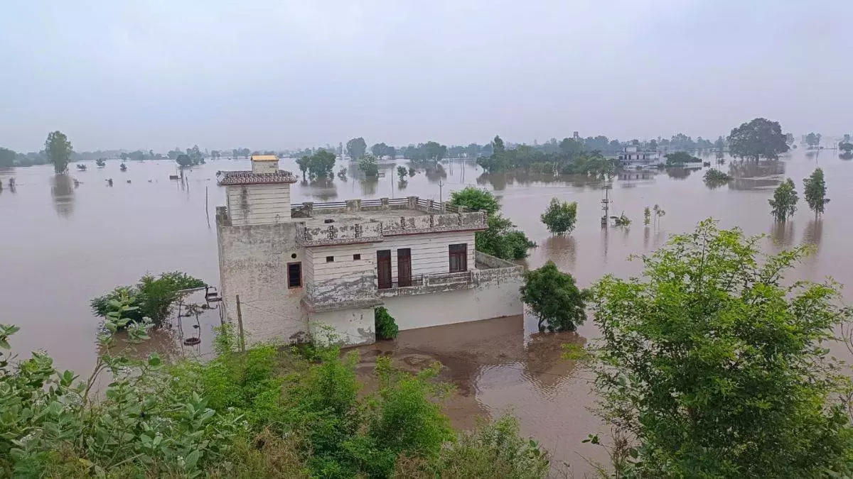 Rewari: विधायक ने पंजाब बाढ़ पीड़ितों के लिए वेतन का योगदान दिया Rewari: विधायक ने पंजाब बाढ़ पीड़ितों के लिए वेतन का योगदान दिया
