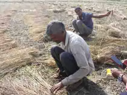 Gujarat: नल कंठ योजना से 39 गांवों में सिंचाई सुविधा उपलब्ध होगी Gujarat: नल कंठ योजना से 39 गांवों में सिंचाई सुविधा उपलब्ध होगी