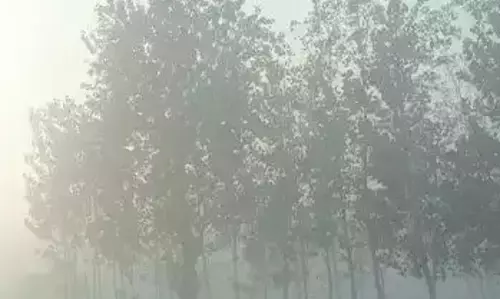 22 जिलों में भारी बारिश होगी, अलर्ट जारी