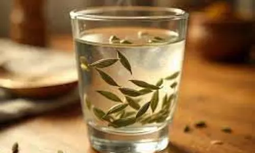 Health:रात को सोने से पहले पी लें सौंफ का पानी ,शरीर को मिलेंगे कई  फायदे