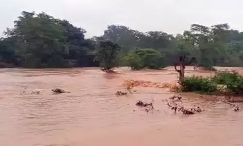 गोवा सरकार ने बस्तर को 5 करोड़ की सहायता राशि दी गोवा सरकार ने बस्तर को 5 करोड़ की सहायता राशि दी