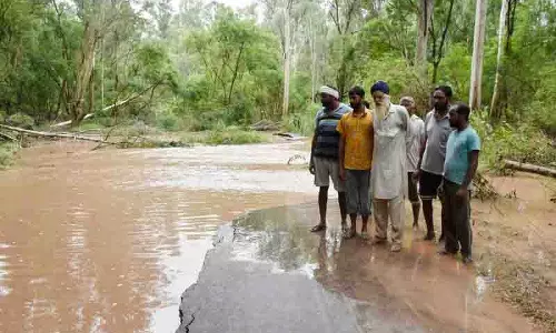 बाढ़ से Dhussi dam पर पौधरोपण को नुकसान, वन्यजीव खतरे में बाढ़ से Dhussi dam पर पौधरोपण को नुकसान, वन्यजीव खतरे में