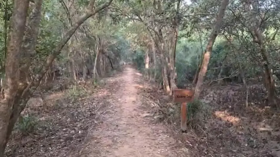 Odisha के भितरकनिका जंगल में छह दिनों से लापता मां-बेटे की जोड़ी, व्यापक तलाशी अभियान जारी