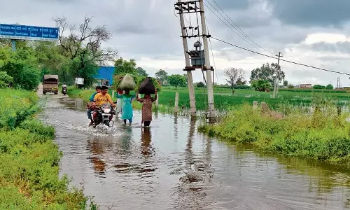 Haryana में बाढ़ से कृषि संकट गहराया Haryana में बाढ़ से कृषि संकट गहराया
