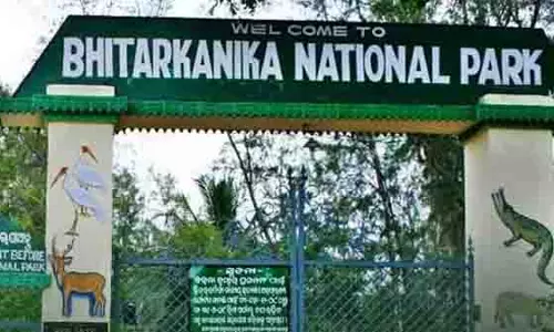 Bhitarkanika में केकड़े पकड़ने गई महिला-बेटा लापता, तलाशी अभियान जारी