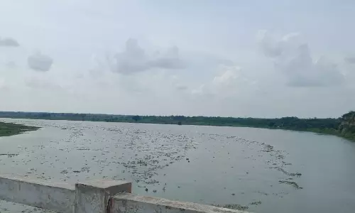 Auraiya: यमुना नदी का जलस्तर बढ़कर स्थिर हुआ Auraiya: यमुना नदी का जलस्तर बढ़कर स्थिर हुआ