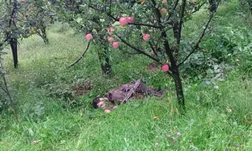 कुलगाम में सेना का ऑपरेशन: 2 आतंकवादी ढेर, JCO समेत 2 जवान घायल कुलगाम में सेना का ऑपरेशन: 2 आतंकवादी ढेर, JCO समेत 2 जवान घायल