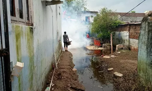 Madhopur: मच्छरों पर काबू पाने के लिए चिकित्सा विभाग कर रहा एंटी लार्वा गतिविधियां Madhopur: मच्छरों पर काबू पाने के लिए चिकित्सा विभाग कर रहा एंटी लार्वा गतिविधियां