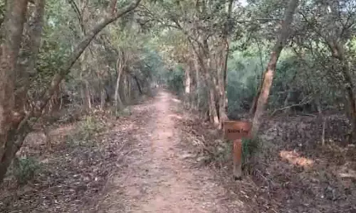 Odisha: भितरकनिका जंगल में छह दिनों से लापता मां-बेटे की जोड़ी