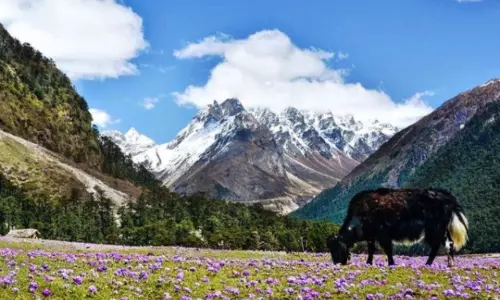 उत्तरी Sikkim पर्यटन के लिए खुला