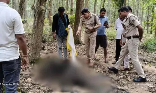 जंगल में मिली लापता बुजुर्ग की जली हुई लाश, आत्महत्या या हत्या? पुलिस कर रही जांच