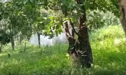 नक्सलियों की बड़ी साजिश नाकाम, 10 किलो का IED बम सुरक्षाबलों ने किया नष्ट नक्सलियों की बड़ी साजिश नाकाम, 10 किलो का IED बम सुरक्षाबलों ने किया नष्ट