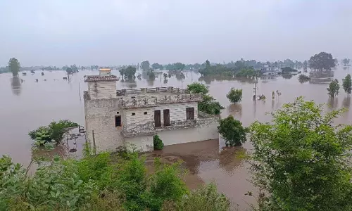 Rewari: विधायक ने पंजाब बाढ़ पीड़ितों के लिए वेतन का योगदान दिया