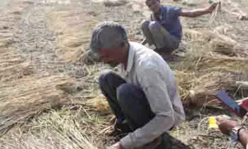 Gujarat: नल कंठ योजना से 39 गांवों में सिंचाई सुविधा उपलब्ध होगी