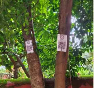 Bhawanipatna: माँ मणिकेश्वरी विश्वविद्यालय ने पेड़ों को क्यूआर कोड से टैग किया Bhawanipatna: माँ मणिकेश्वरी विश्वविद्यालय ने पेड़ों को क्यूआर कोड से टैग किया