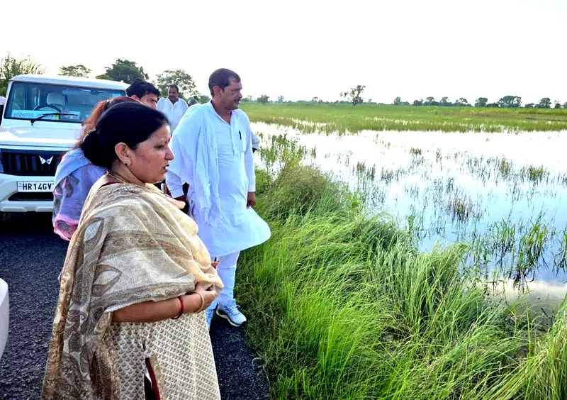 Haryana : झज्जर में जलभराव से 15,000 एकड़ कृषि भूमि प्रभावित सिंचाई विभाग का सर्वेक्षण Haryana : झज्जर में जलभराव से 15,000 एकड़ कृषि भूमि प्रभावित सिंचाई विभाग का सर्वेक्षण