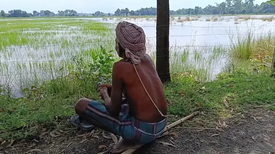 Bhadrak बाढ़: किसान खेतों में नुकसान Bhadrak बाढ़: किसान खेतों में नुकसान
