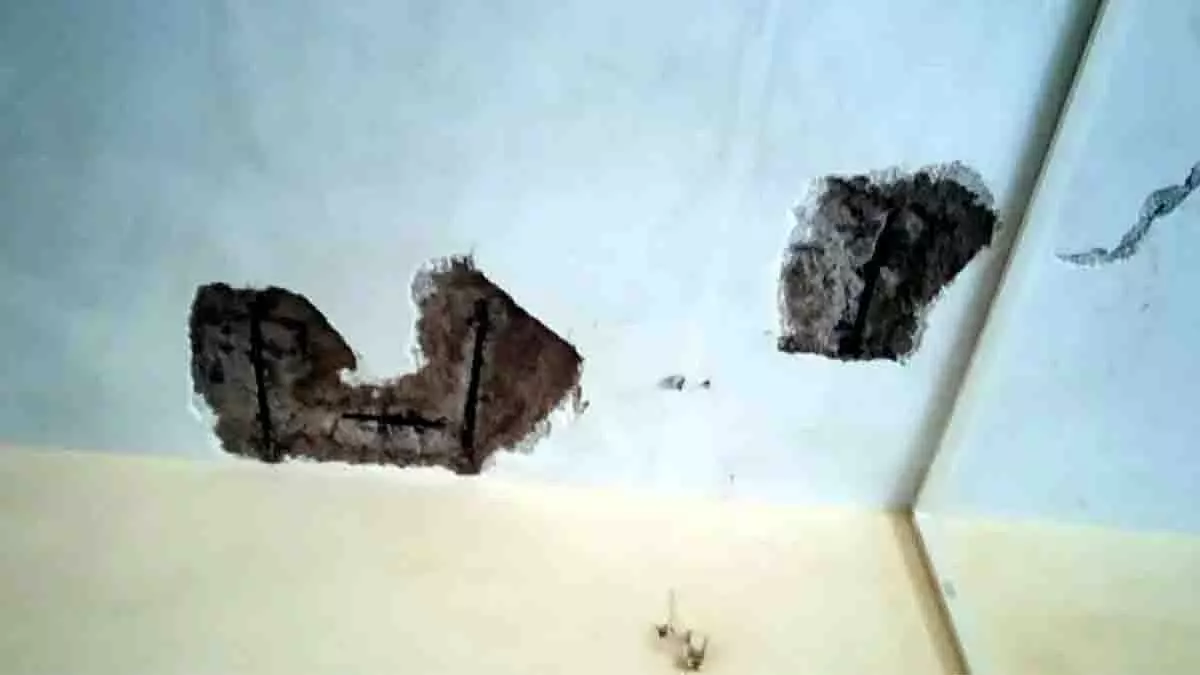 ठाणे के कोपरी में जज के घर की छत गिरी, PWD अफसरों पर केस दर्ज ठाणे के कोपरी में जज के घर की छत गिरी, PWD अफसरों पर केस दर्ज