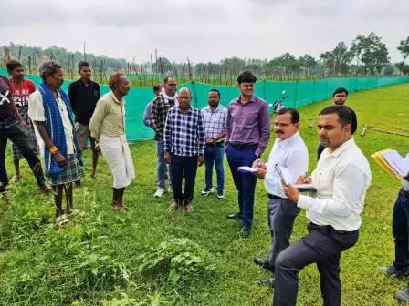 संचालक कृषि राहुल देव ने मूंगफली फसल प्रदर्शन का किया निरीक्षण संचालक कृषि राहुल देव ने मूंगफली फसल प्रदर्शन का किया निरीक्षण