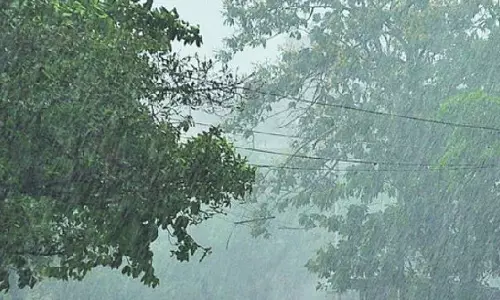 छत्तीसगढ़ : हल्की बारिश के आसार, अलर्ट जारी छत्तीसगढ़ : हल्की बारिश के आसार, अलर्ट जारी