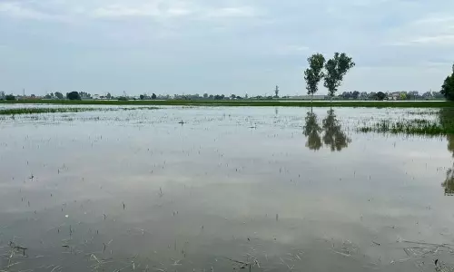Haryana :  मारकंडा में पानी घटा, लेकिन किसानों का संघर्ष जारी