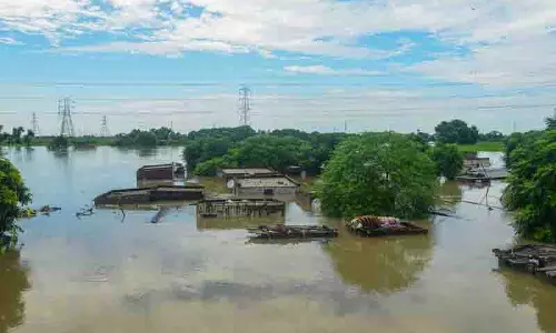Punjab के किसान चाहते, 70 हजार रुपये प्रति एकड़ मुआवजा, कहा- वसूली में लगेंगे 3 साल
