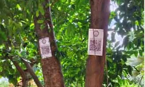 Bhawanipatna: माँ मणिकेश्वरी विश्वविद्यालय ने पेड़ों को क्यूआर कोड से टैग किया