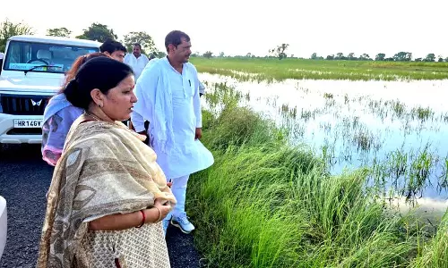 Haryana :  झज्जर में जलभराव से 15,000 एकड़ कृषि भूमि प्रभावित सिंचाई विभाग का सर्वेक्षण