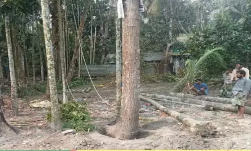 Tripura: कार्बूक उपखंड में 100 से अधिक पूर्व एटीटीएफ परिवारों ने वन भूमि पर कब्जा किया