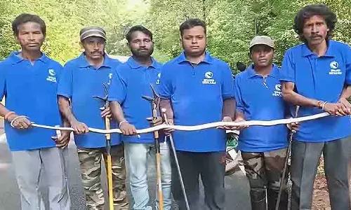 Boudh में एक घर से 9 फुट लंबा किंग कोबरा बचाया गया Boudh में एक घर से 9 फुट लंबा किंग कोबरा बचाया गया