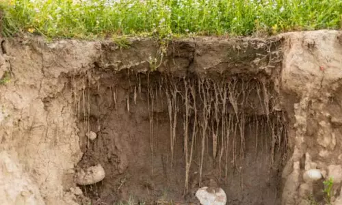 Pilibhit में बाढ़ के बाद मिट्टी का कटाव; भूमिहीन ग्रामीणों को राहत नहीं