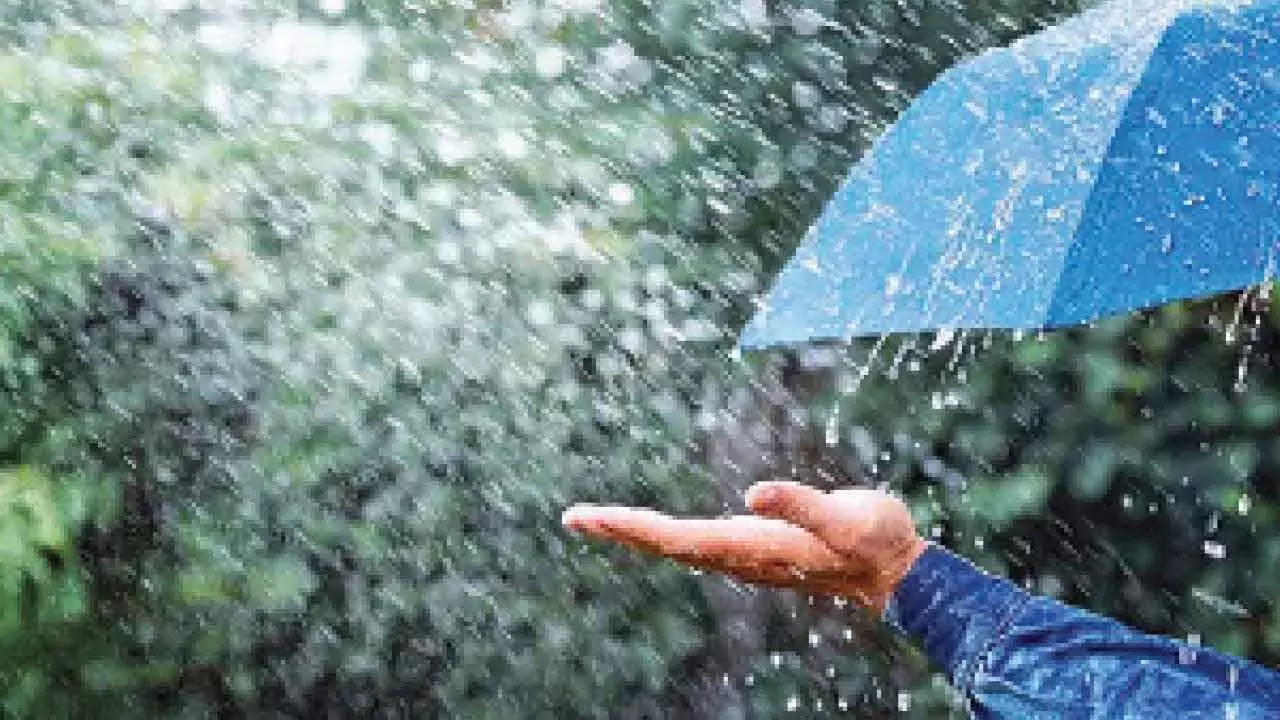 गंभीर मौसम की चेतावनी: आंध्र प्रदेश में बारिश और तेज़ हवाएँ चलने की संभावना गंभीर मौसम की चेतावनी: आंध्र प्रदेश में बारिश और तेज़ हवाएँ चलने की संभावना