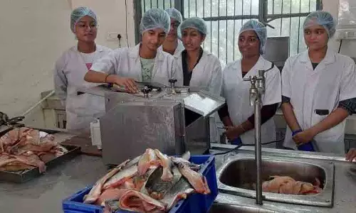 पशु चिकित्सा University  को मछली, झींगा प्रसंस्करण में व्यावहारिक प्रशिक्षण के लिए अनुदान मिला
