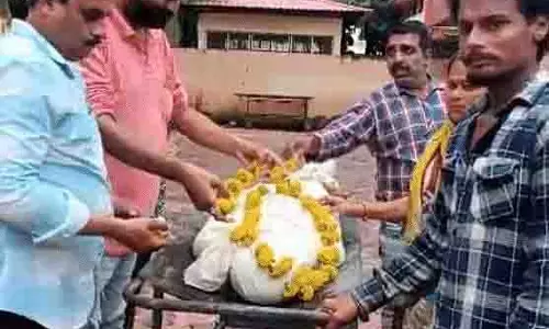 Indore: कुत्ते के काटने से मौत के बाद परिवार को झेलना पड़ा दोहरी मार