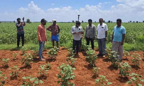 भूमि सर्वेक्षण में सहयोग करें किसान: तहसीलदार Sridhar Babu भूमि सर्वेक्षण में सहयोग करें किसान: तहसीलदार Sridhar Babu